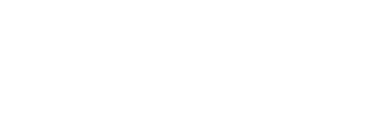 Bruder Spielwaren