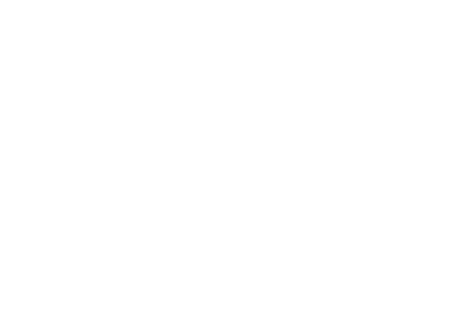 Panther