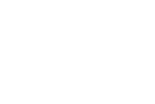 Liebscher & Bracht