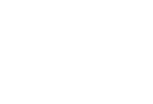 Stadt Forchheim