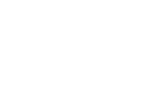 Bruder Spielwaren