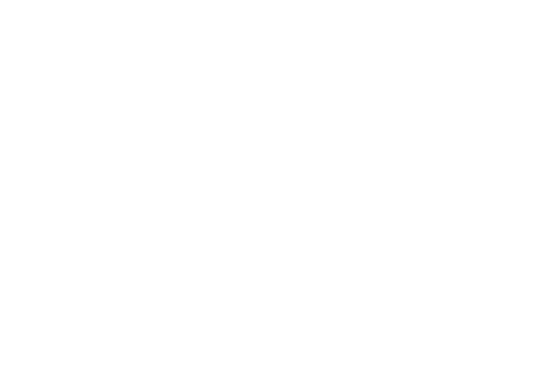 Netzsch